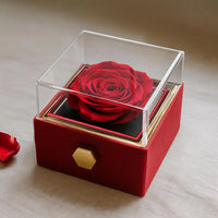 CZ Crystal Love Knot Necklace, Bestie Love Knot Necklace, Best Friend Knot Pendant Necklace, Rotating Rose Box, Christmas Friendship Present