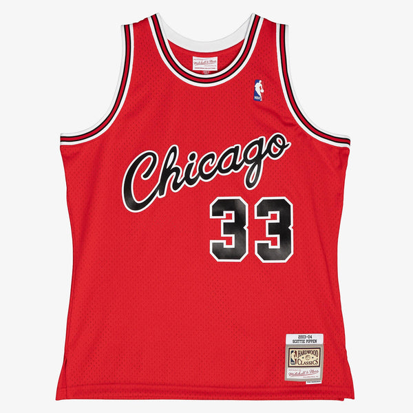 Chicago Bulls Alternate Jersey